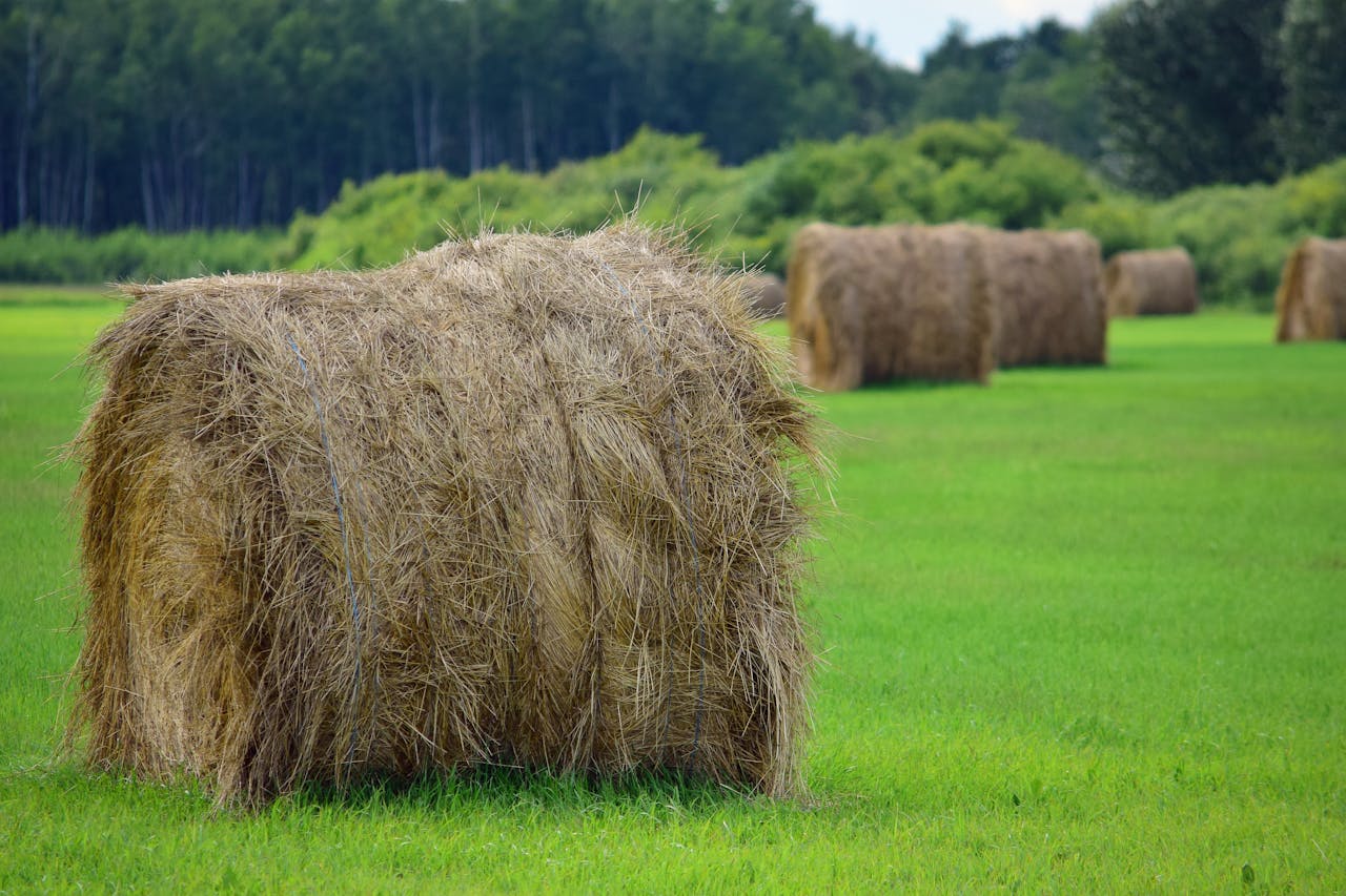 Baler Belt