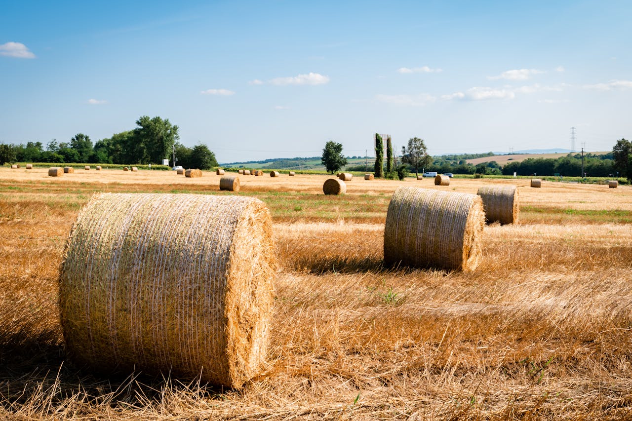 Round Baler